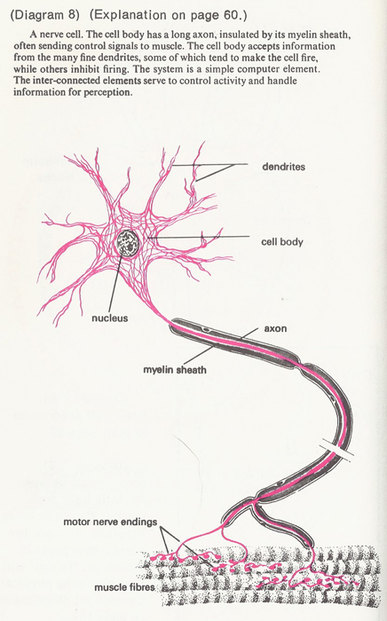 Diagram-8