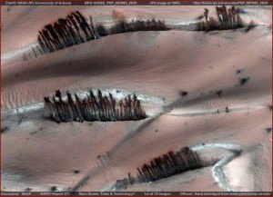 Mars-Growth2
