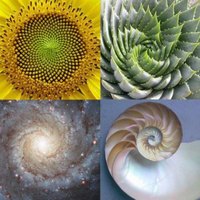 fibonacci-nature-4-post