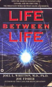 2-Life Between Life Book