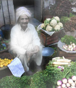 ghost-vendor