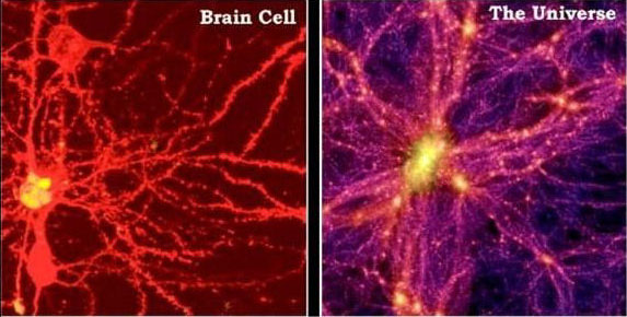 universe-and-brain-cells