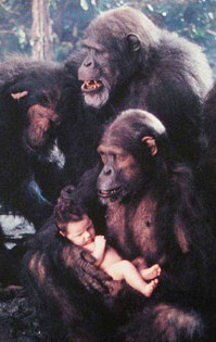 Tarzan-adopted-by-ape-family-4-post