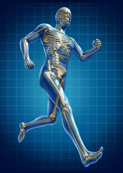 man-running-bone-structure-4-post