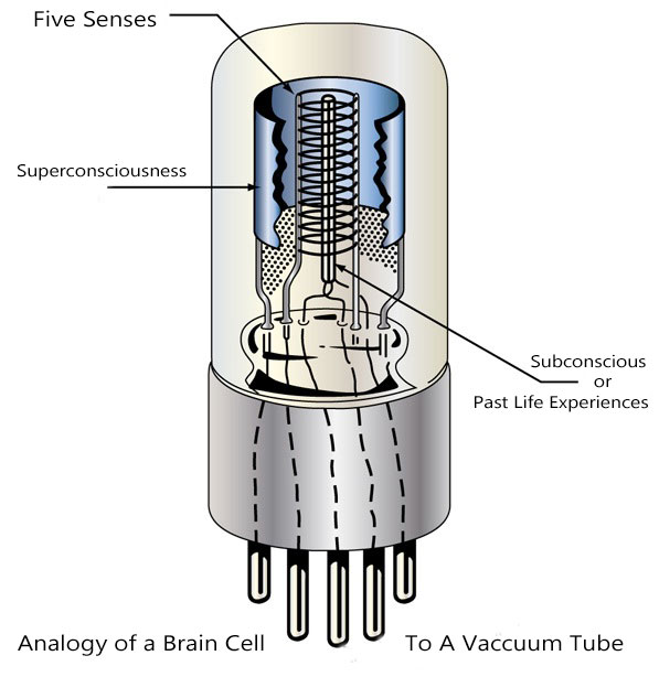 vacuum-tube-analogy-to-brain-cell