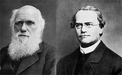 Darwin and Mendel