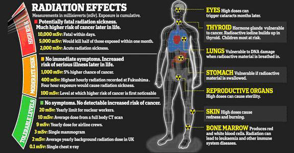 Nuclear-Radiation-Effects chart