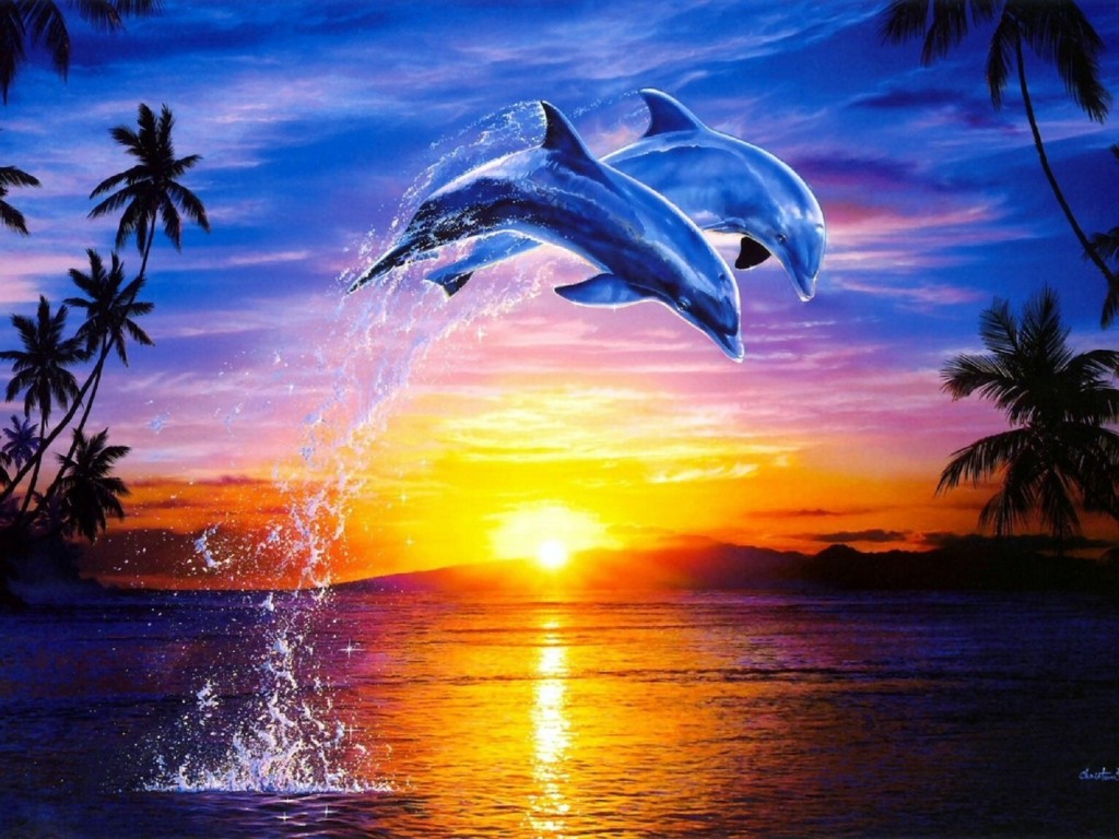 dolphins 2