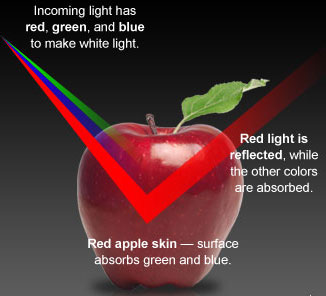 how-we-see-color-apple-4-post