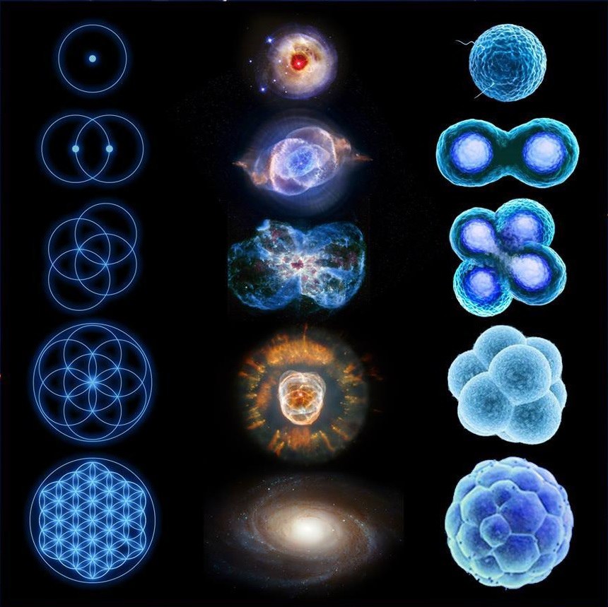 from atom to universe