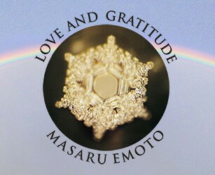 love and gratitude water crystal