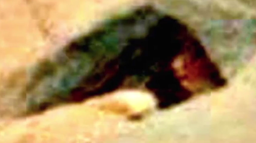 alien-like-creature-on-Mars