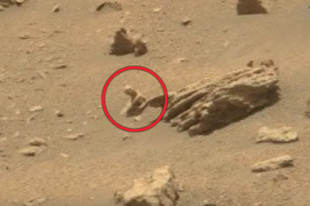 ant being on Mars two