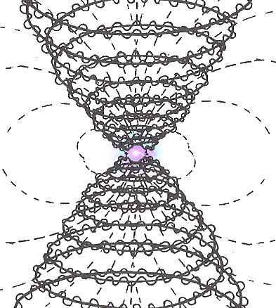 atom-vortex-dual-torus-4-post