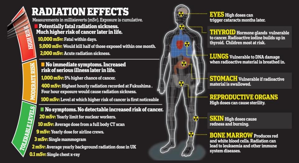 radiation-effects on the body