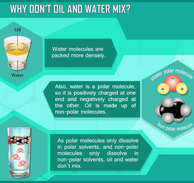 why-water-and-oil-dont-mix-graphic-4-post