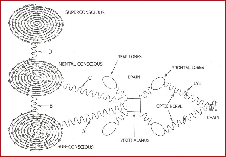 psychic-anatomy-diagram-2-post