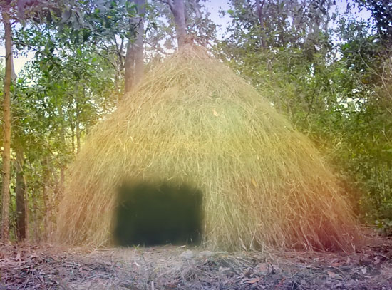 colorful-thatched-hut-higher-frequency-4-post