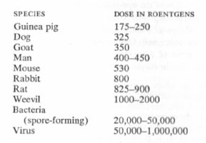 Animal-Radiation-Exposures