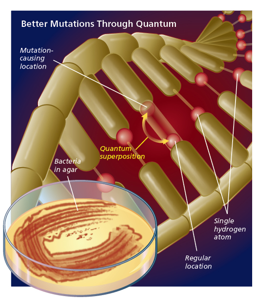 better-mutations in quantum