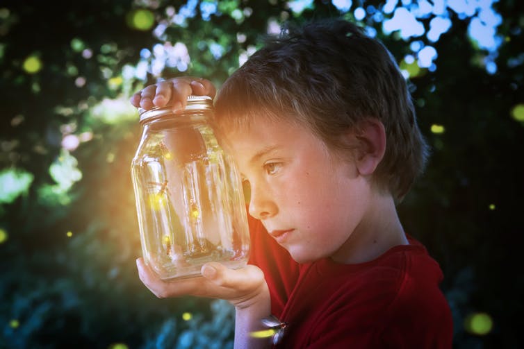 1-boy looking at firefly
