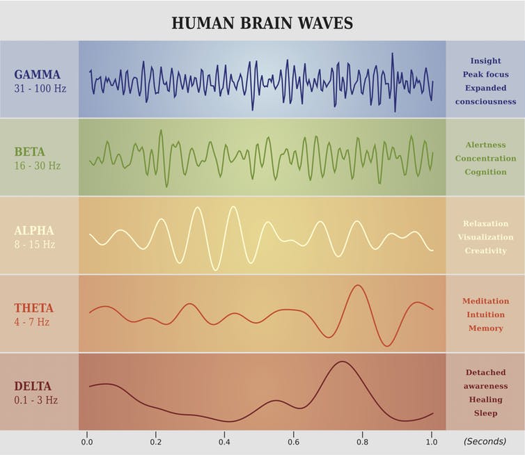 3-human brain waves chart