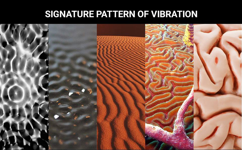 signature pattern of vibration