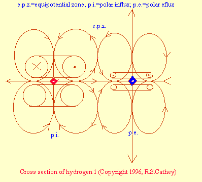 csvortx2