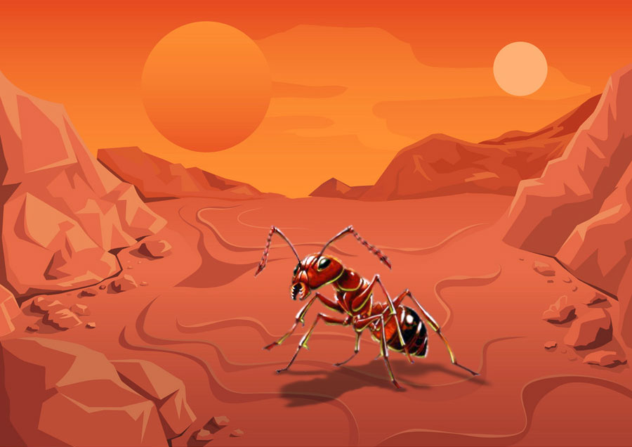 Insects-on-Mars-main-2-post