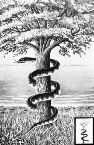 snake-and-the-tree-of-life-4-post