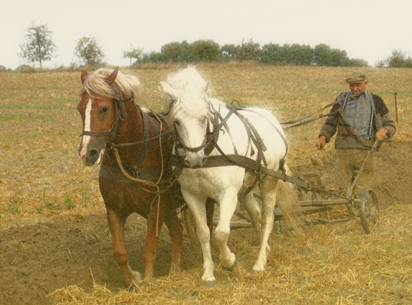 cleaning-ditch-with-plow-2-post