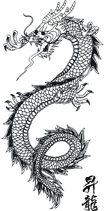 chinese dragon 4
