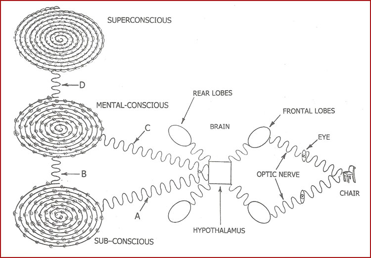 psychic-anatomy-diagram