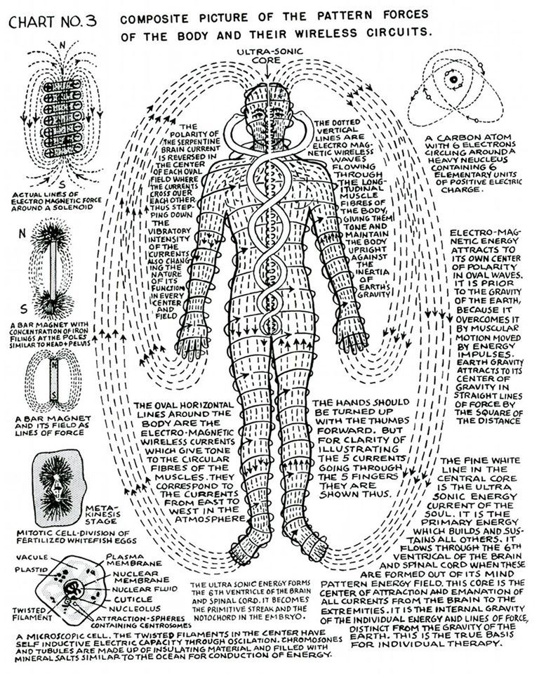 polarity therapy diagram 2 post