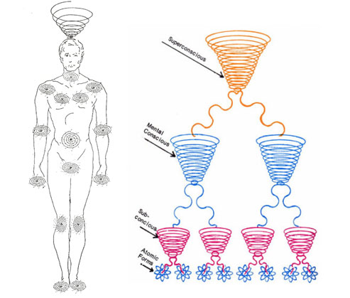 psychic-anatomy-graph