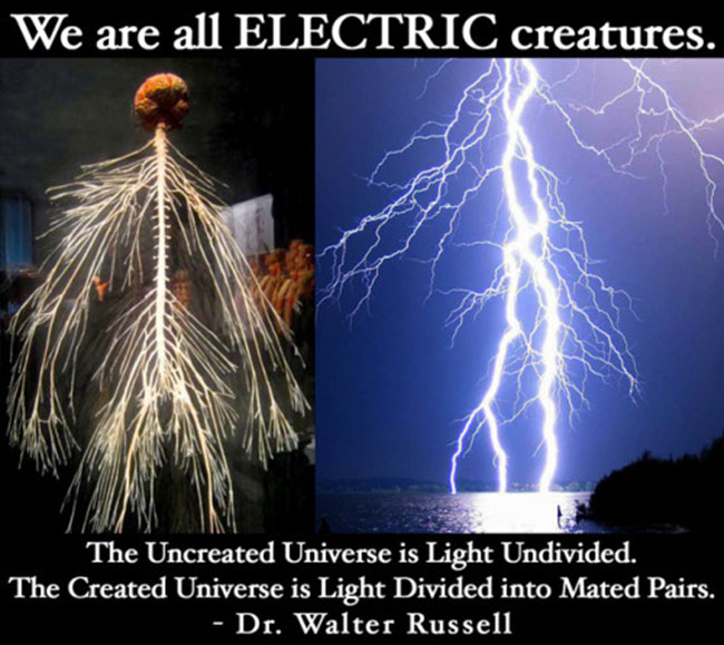 We-Are-All-Electric-Creatures-quote