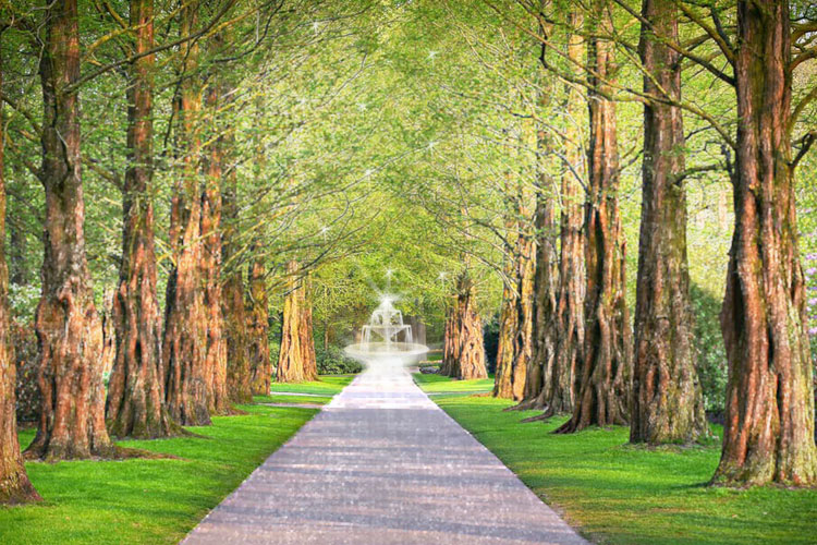 1-fountain-in-the-forest-2