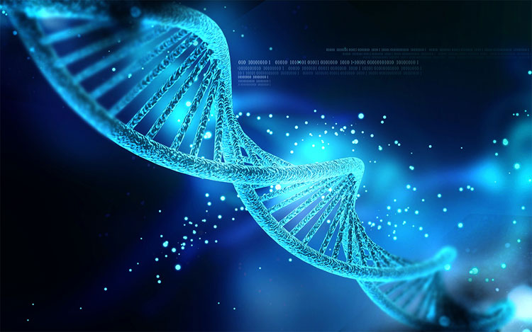 4-DNA-Emits-Light