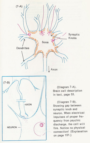 Diagram-7