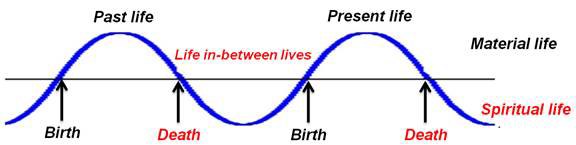 birth-death-cycle