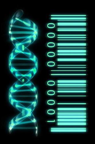 2-Biophotonics-the-Science-behind-Energy-Healing-DNA-as-Genetic-Barcode
