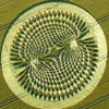 crop-circles-featured-1