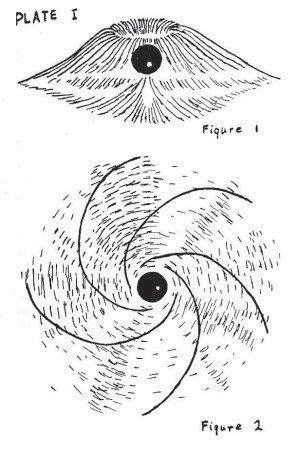 EMF-and-Vortex-Plate-I