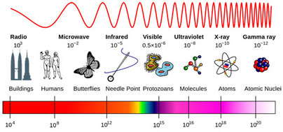 emf-spectrum-4-post