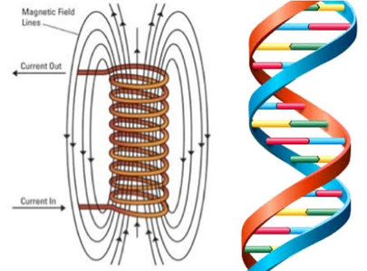 DNA-and-electric-coil-as-electro-magnet-4-post