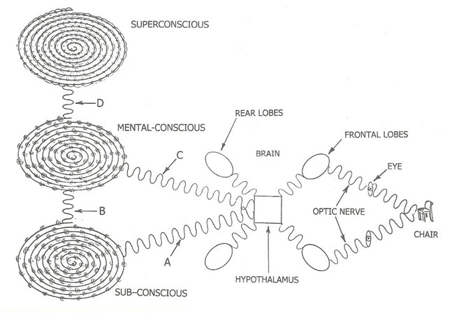 psychic-anatomy