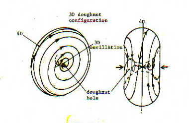 Donut hole configuration of vortex