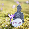 examples-of-karmic-feedback-featured-1