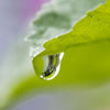 water-of-life-featured-1