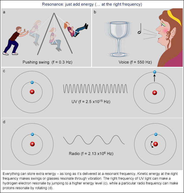 Resonance graph